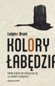 Kolory łabędzia. Kiedy ludzie nie mieszczą się w ramach instytucji. Autor: Luigino Bruni. Dadada.pl Okładka książki Kolory łabędzia. Kiedy ludzie nie mieszczą się w ramach instytucji