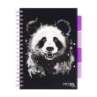 Kołozeszyt Pads B5/100K linia Panda. Wydawca: Strigo. Dadada.pl Opakowanie Kołozeszyt Pads B5/100K linia Panda