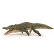 Opakowanie Krokodyl słonowodny 21,5x7,2x5cm
