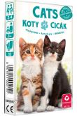Opakowanie Kwartet - Koty. Karty do gry Cartamundi