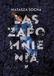 Las zapomnienia. Autor: Natasza Socha. Dadada.pl Okładka książki Las zapomnienia