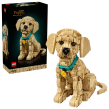 Opakowanie LEGO(R) ICONS 11384 Szczeniak golden retriever