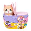 Opakowanie Little Live Pets Mama Surprise - Kocia Mama