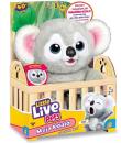 Opakowanie Little Live Pets - Moja Koala