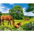 Opakowanie Malowanie po numerach 40x50cm Konie na łące