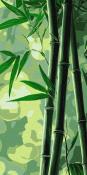 Opakowanie Malowanie po numerach - Bambus 40x80cm