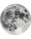 Opakowanie Malowanie po numerach BRUSHME okrągły 40 cm Księżyc