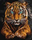 Opakowanie Malowanie po numerach - Dziki tygrys 40x50cm