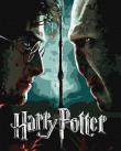 Opakowanie Malowanie po numerach - Harry i Voldemort metal
