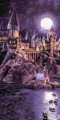 Opakowanie Malowanie po numerach - Harry Potter 40x80cm