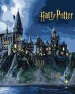 Opakowanie Malowanie po numerach - Harry Potter. Hogwart nocą