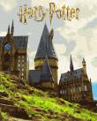 Opakowanie Malowanie po numerach - Harry Potter. Krajobraz