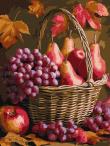 Opakowanie Malowanie po numerach - Jesienne owoce 30x40cm