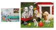 Opakowanie Malowanie po numerach - Pieski 41x31cm