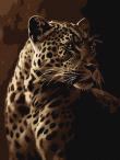 Opakowanie Malowanie po numerach -Spojrzenie lamparta 30x40cm