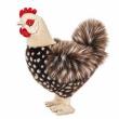 Opakowanie Maskotka Zoo Kura ciemnobrązowa 36 cm
