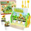 Opakowanie Mini ogódek edukacyjny szklarnia