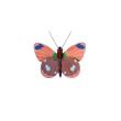 Opakowanie Model kartonowy 3D Wall Art - Delias Butterfly