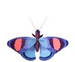 Opakowanie Model kartonowy 3D Wall Art - Peacock Butterflies
