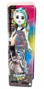 Opakowanie Monster High Frankie Stein
