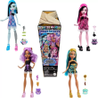 Opakowanie Monster High. Ukryte sekrety Lalka i akcesoria mix