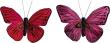 Opakowanie Motyle z klipsem 2szt