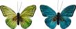 Opakowanie Motyle z klipsem 2szt