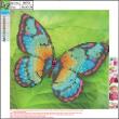 Opakowanie Mozaika diamentowa 5D kit 30x30 cm BUTTERFLY 89751 CENTRUM