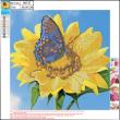Opakowanie Mozaika diamentowa 5D kit 30x30 cm SUNFLOWER 89747 CENTRUM