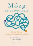 Mózg na autopilocie. Jak nie dać się oszukać schematom myślenia. Duże Litery. Autor: Hollingworth Crawford, Tomlinson Cathy. Dadada.pl Okładka książki Mózg na autopilocie. Jak nie dać się oszukać schematom myślenia. Duże Litery