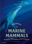 Mysteries of Marine Mammals. An Illustrated Guide to Whales, Dolphins, and Porpoises. Autor: Amandine Delaunay. Dadada.pl Okładka książki Mysteries of Marine Mammals. An Illustrated Guide to Whales, Dolphins, and Porpoises