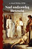 Nad sadzawką Betesda. Uzdrowienie przez modlitwę różańcową. Autor: Witko Józef. Dadada.pl Okładka książki Nad sadzawką Betesda. Uzdrowienie przez modlitwę różańcową
