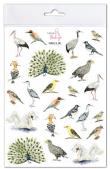 Opakowanie Naklejki Ptaki 2