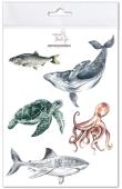 Opakowanie Naprasowanki Zwierzęta morskie