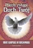 Niech zstąpi Duch Twój - cykl trzyletni w.2025. Autor:   Praca zbiorowa. Dadada.pl Okładka książki Niech zstąpi Duch Twój - cykl trzyletni w.2025