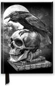 Opakowanie Notatnik A5 linia TW Kruk i czaszka Alchemy