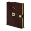 Opakowanie Notatnik A5 Premium Harry Potter Quidditch