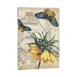 Opakowanie Notatnik linia Fritillaria midi