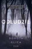 Odludzie. Autor: Dorota Glica. Dadada.pl Okładka książki Odludzie