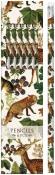 Opakowanie Ołówki ozdobne STPEN43 leśne zwierzęta 6szt