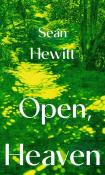 Open, Heaven. Autor: Hewitt Sean. Dadada.pl Okładka książki Open, Heaven