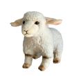 Opakowanie Owca 23cm