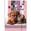 Opakowanie Paczka Teczka A4 z gumką Pies i Kot 5 sztuk