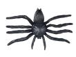 Opakowanie Pająk plastikowy 6cm czarny 6szt