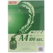 Opakowanie Papier Brystol 170g A4 100 ark.
