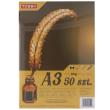 Opakowanie Papier Brystol 200g A3 50 ark.