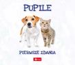 Okładka książki Pierwsze zdania. Pupile