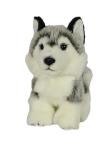 Opakowanie Pies Husky 19cm