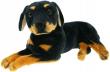 Opakowanie Pies rottweiler 47cm