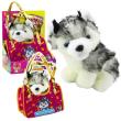 Opakowanie Piesek Husky w torebce pluszowy